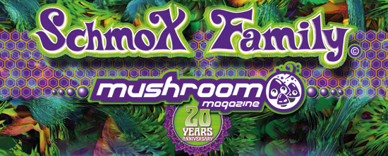 Visit our Facebook Event for mushroom tour München (30.05.2014)