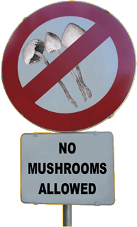 no-mushrooms-allowed.gif