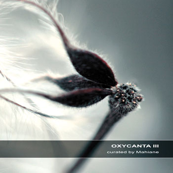 Oxycanta ©by Mahiane (Ultimae)