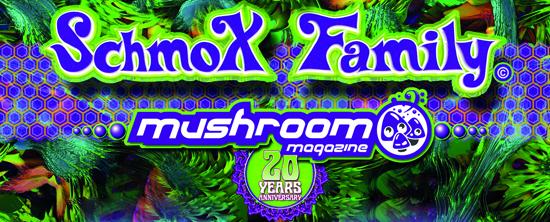 Schmox mushroom Birthday 2014