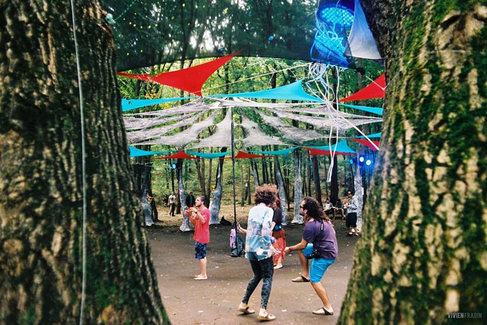 tree of life festival 2015