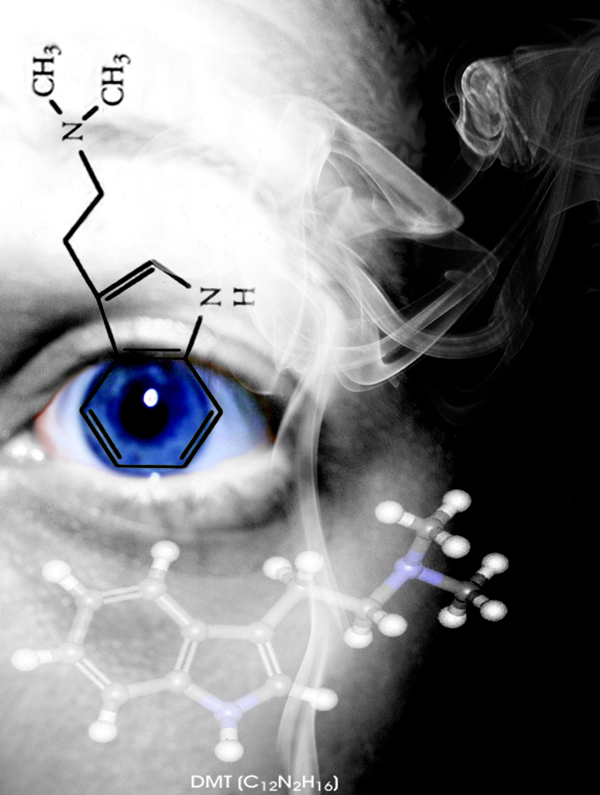 DMT_the_spirit_molecule_by_nathancolella