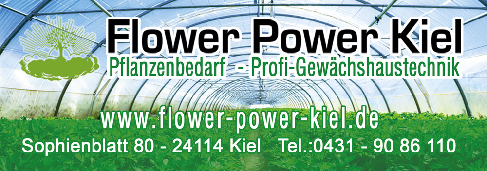 flower-power-kiel