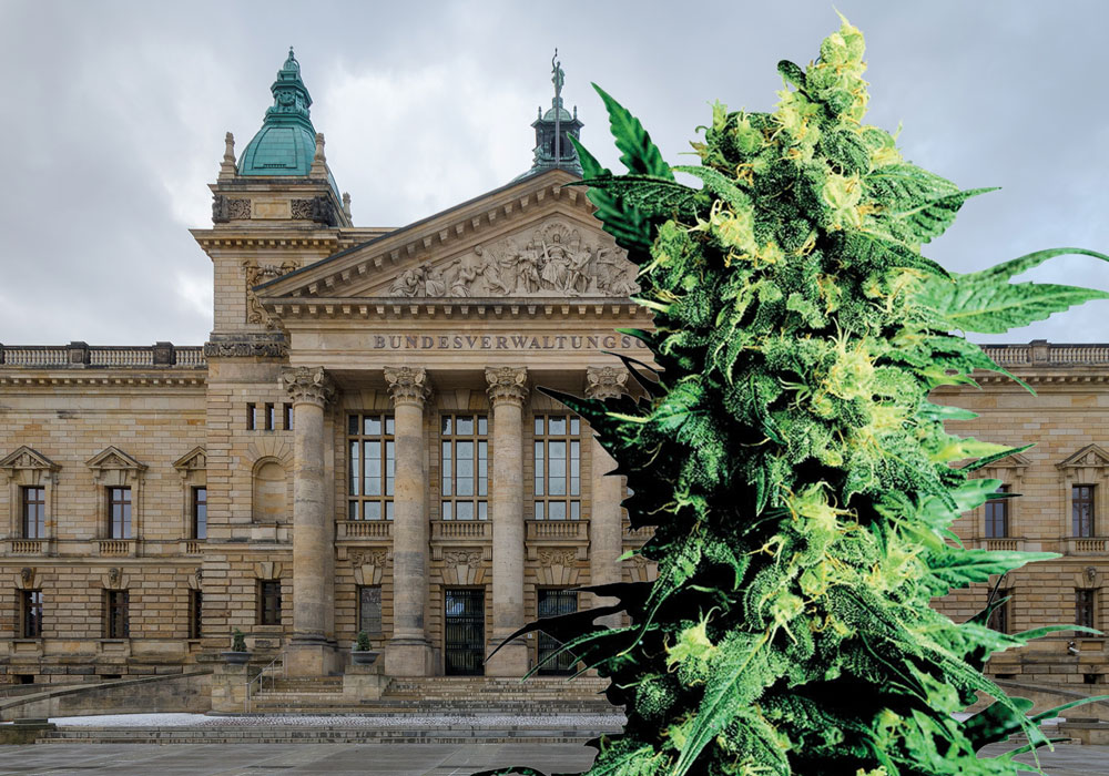 Good news for Cannabis patients in Germany