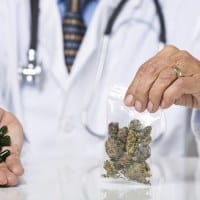 cannabis patient