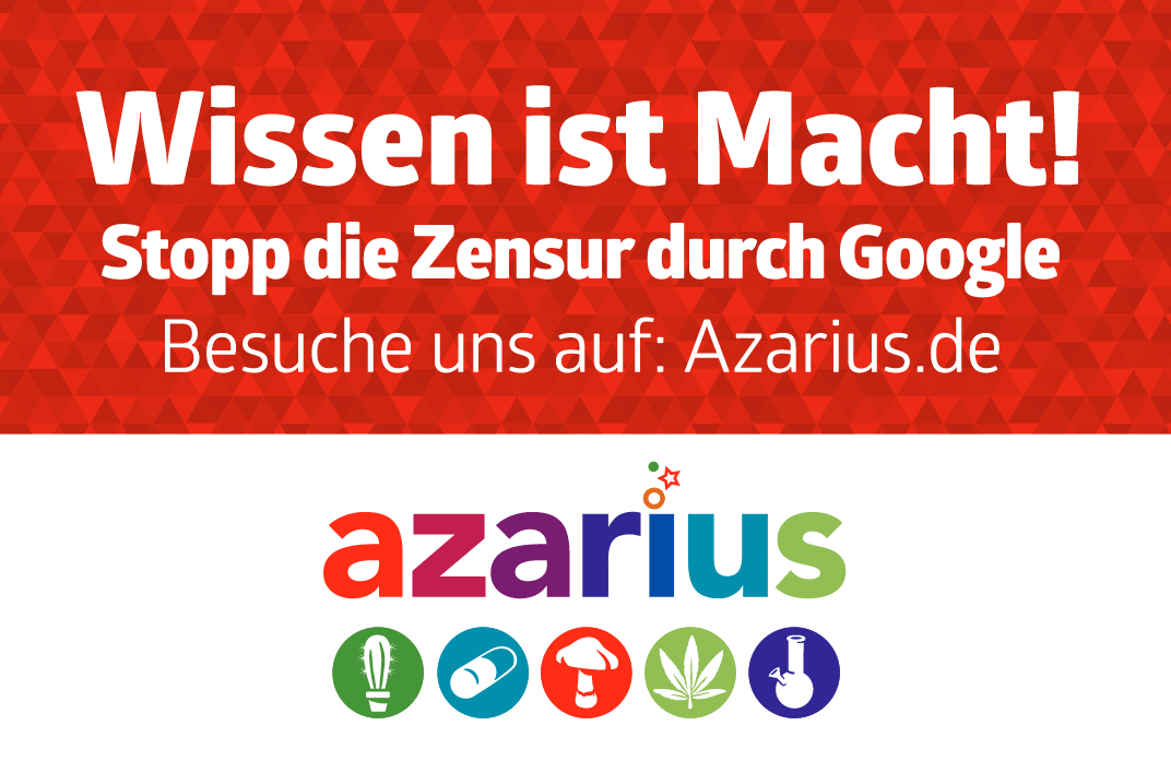 Warum Du Azarius.de nicht mehr auf Google finden kannst