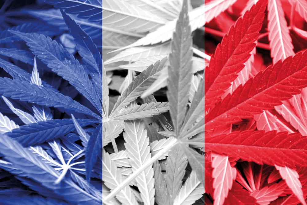 frankreich flagge cannabis