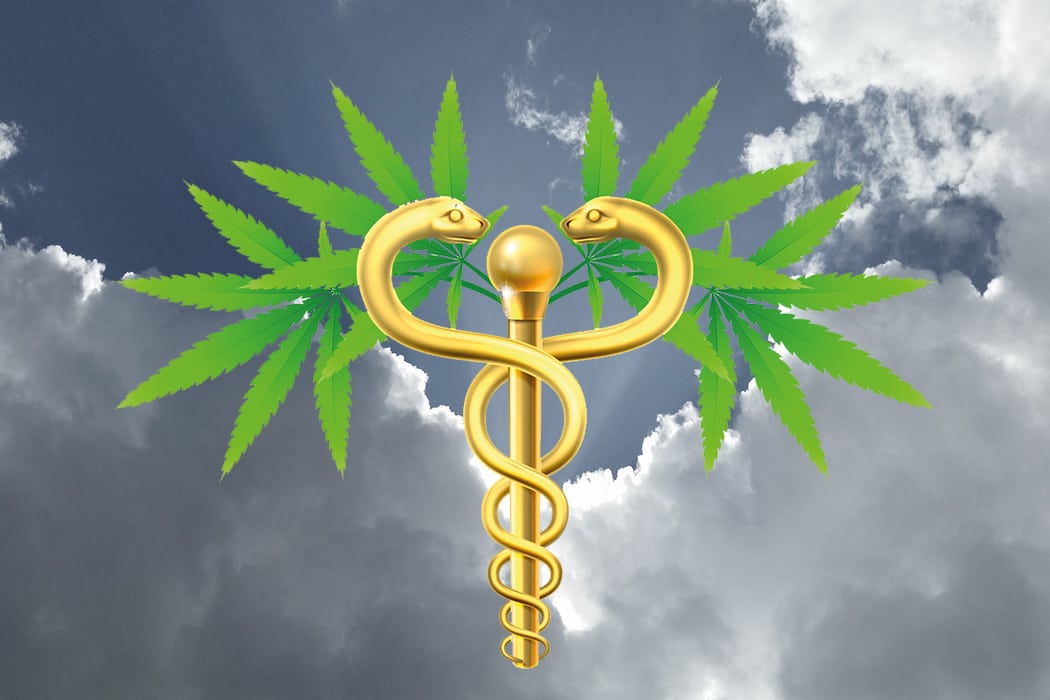 Freud & Leid: Was bringt  das neue Cannabismedizingesetz?